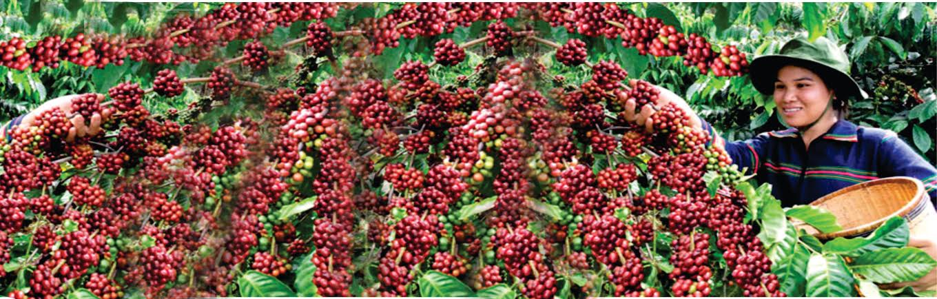 Kính chúc bà con nông dân trúng mùa, được giá ! Kính chúc bà con nông dân trúng mùa, được giá !