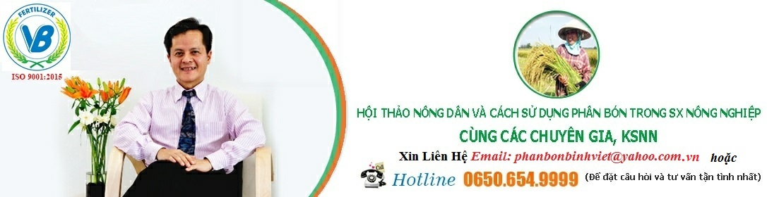 Hình ảnh hội thảo